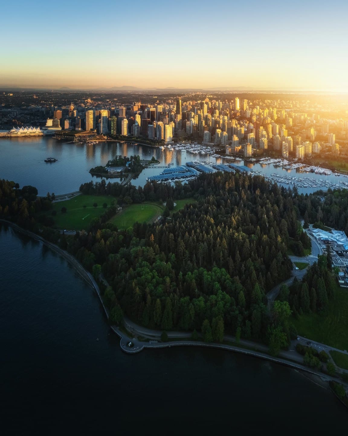 Modern city skyline overlooking a marina and forest park.